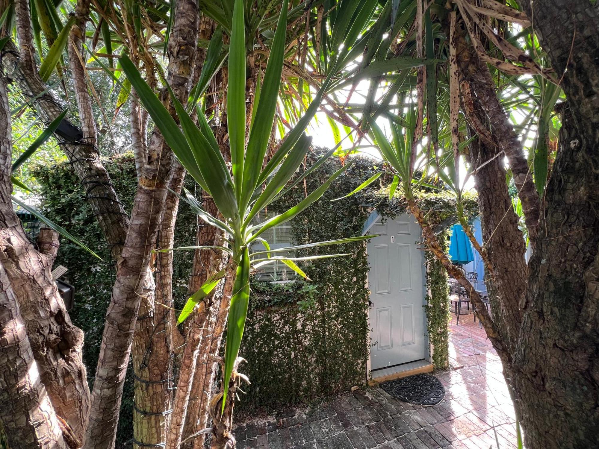 ניו אורלינס Studio Apartment Antonine מראה חיצוני תמונה